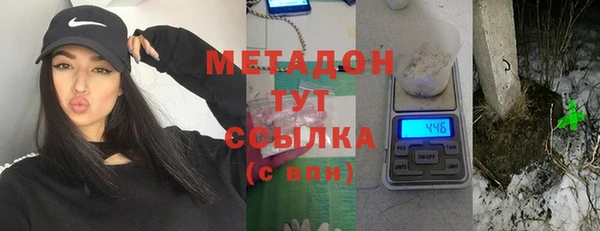 шишки Абаза