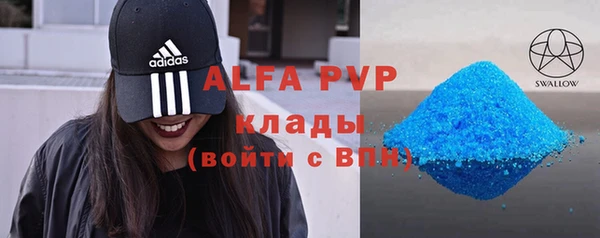 шишки Абаза