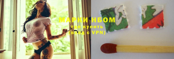 шишки Абаза