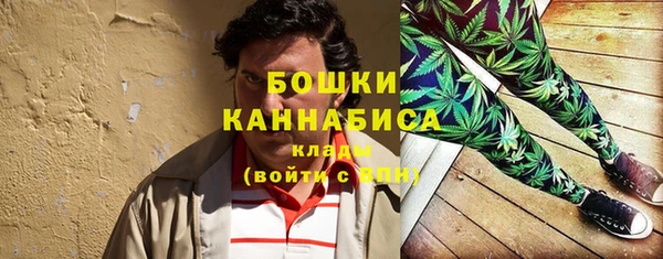 шишки Абаза