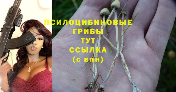 мяу мяу мука Абинск