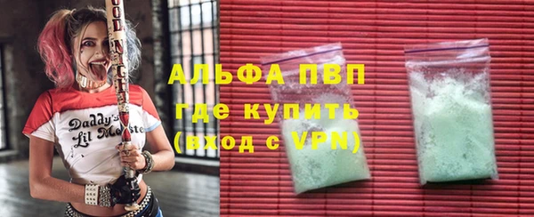 шишки Абаза