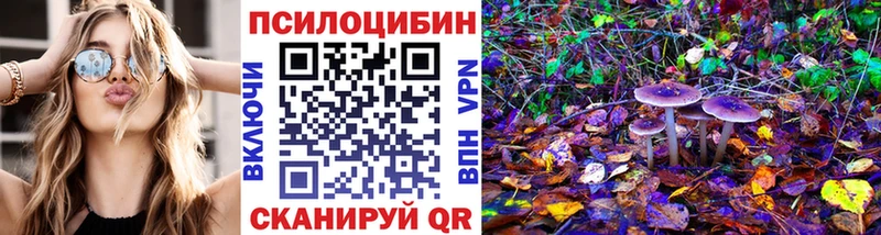купить наркотик  Почеп  Псилоцибиновые грибы Psilocybine cubensis 
